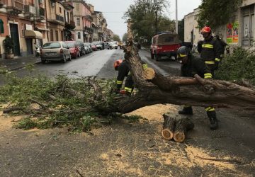 Maltempo, pioggia e forte vento. Vigili del fuoco sotto pressione