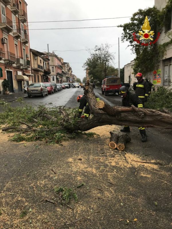 Maltempo, pioggia e forte vento. Vigili del fuoco sotto pressione