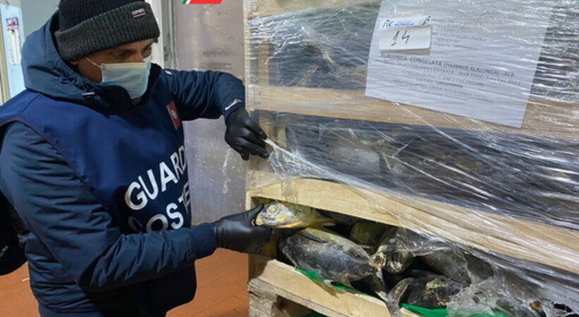 Guardia costiera, operazione “Thalassa”: a Riposto e Acireale sequestrate 4 tonnellate di pesce in cattivo stato