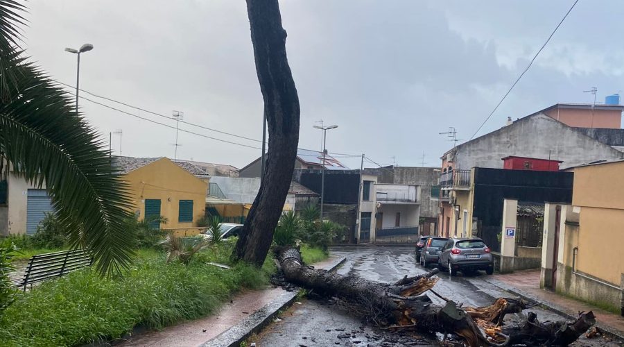 Giarre, precipita sulla strada grosso ramo d’albero. Intervento dei Vigili del fuoco