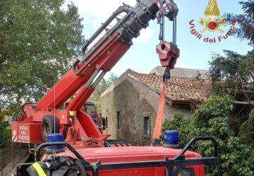 Randazzo, albero su casa e incendio di un mezzo pesante