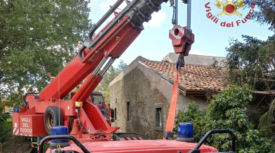 Randazzo, albero su casa e incendio di un mezzo pesante