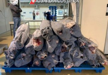 Sequestrati e donati al Banco Alimentare circa 1.000 kg di pesce spada non tracciabile