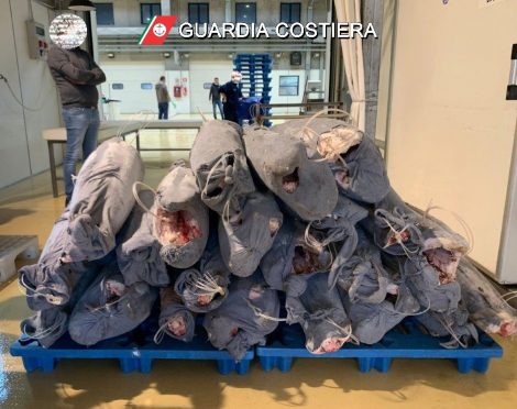 Sequestrati e donati al Banco Alimentare circa 1.000 kg di pesce spada non tracciabile