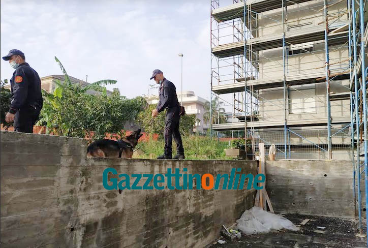 Blitz antidroga dei carabinieri a Giarre e a Riposto: 1 arresto e due denunce