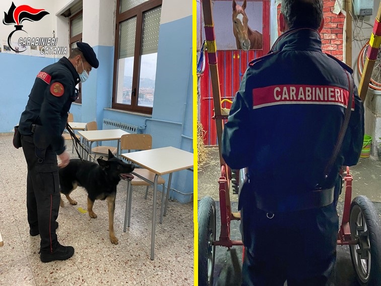 Contrasto all’illegalità: controlli antidroga nelle scuole