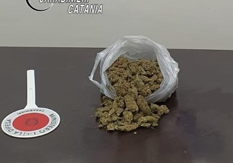In auto con moglie, figli e la… marijuana: arrestato