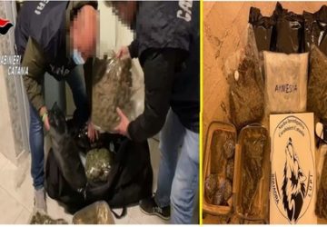 Catania, oltre 8 chili di erba in casa: arrestata una 36enne