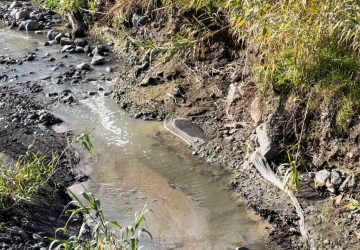 Liquami fognari nel torrente Macchia, nuovo sopralluogo del sindaco