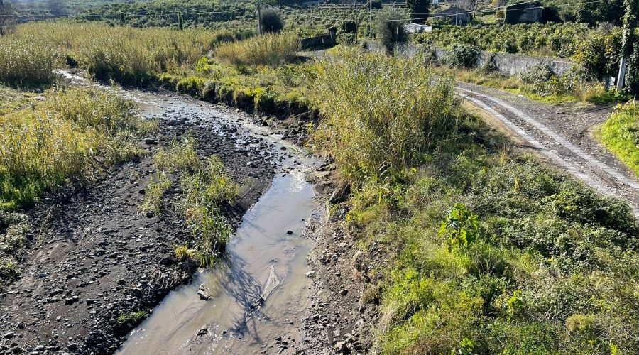 Nel torrente Macchia a S.Maria la Strada scorrono liquami fognari. Il sindaco: “Adesso basta con gli scaribarile”