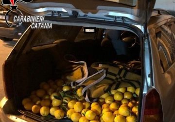 Patern&ograve;, lotta alla criminalit&agrave; nelle aree rurali: tre denunce e refurtiva recuperata