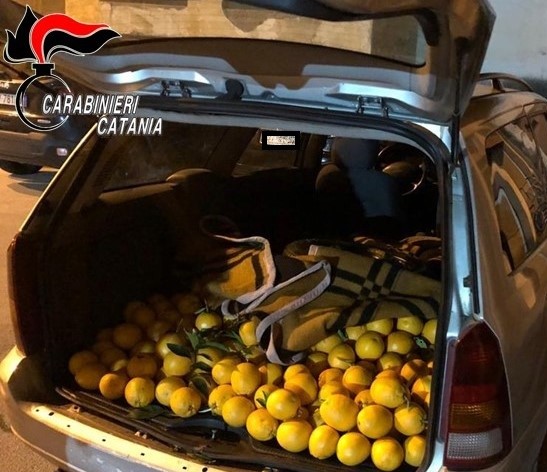 Paternò, lotta alla criminalità nelle aree rurali: tre denunce e refurtiva recuperata