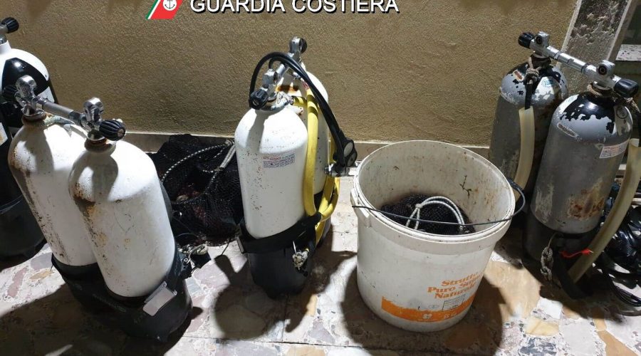 Guardia costiera: ricci e occhi di bue pescati illegalmente da sub nell’Acese