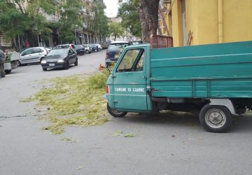 Giarre, in via Teatro avviata la potatura degli alberi del "bosco verticale"