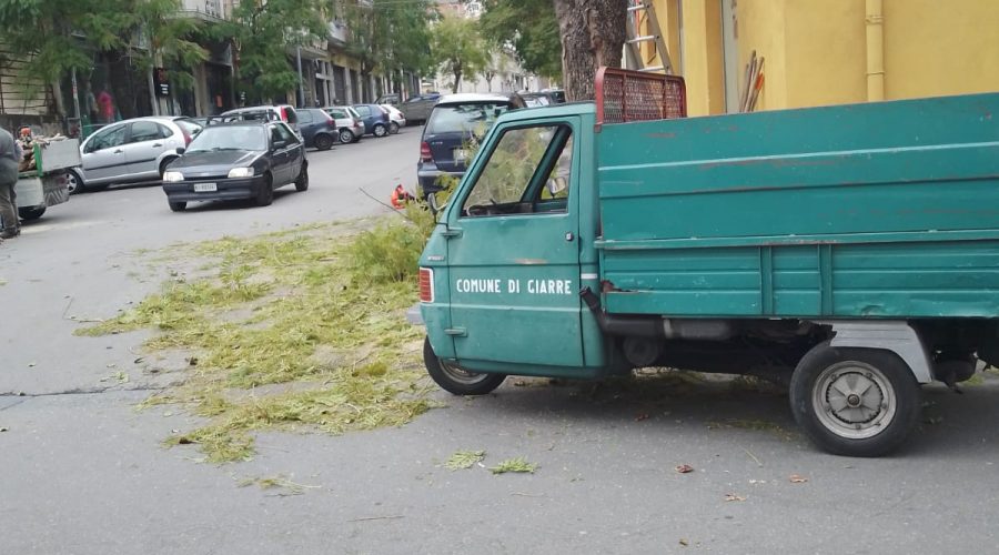 Giarre, in via Teatro avviata la potatura degli alberi del “bosco verticale”