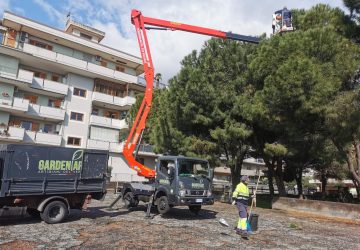Giarre, emergenza processionaria al via le bonifiche nelle aree a verde