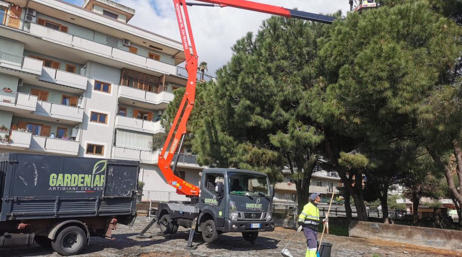 Giarre, emergenza processionaria al via le bonifiche nelle aree a verde