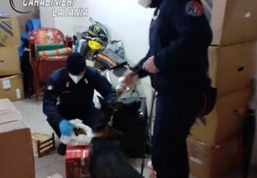 Riposto, vasto servizio di controllo del territorio: denunce e sanzioni al C.d.S.