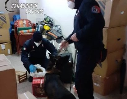 Riposto, vasto servizio di controllo del territorio: denunce e sanzioni al C.d.S.