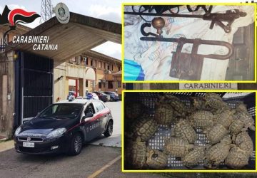 Detenzione illegale di animali in via di estinzione ed attrezzature agricole ricettate: due denunce
