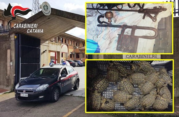 Detenzione illegale di animali in via di estinzione ed attrezzature agricole ricettate: due denunce