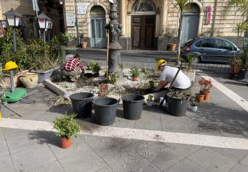 Giarre, studenti dell'Agrario abbelliscono gli arredi floreali di piazza Duomo