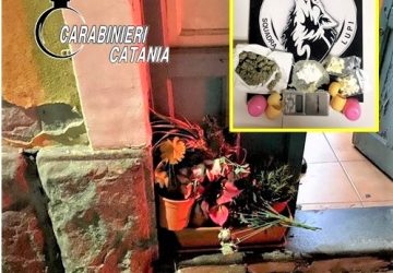 Utilizzava la fioriera per il deposito dello &ldquo;stupefacente&rdquo;: arrestato