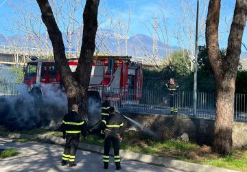 Regina Pacis, a fuoco cumuli di rami secchi. Intervento dei Vigili del fuoco