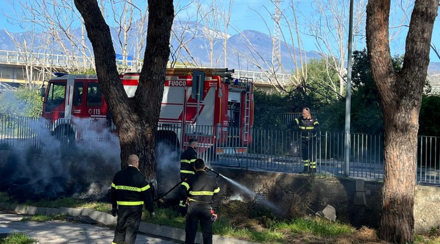 Regina Pacis, a fuoco cumuli di rami secchi. Intervento dei Vigili del fuoco