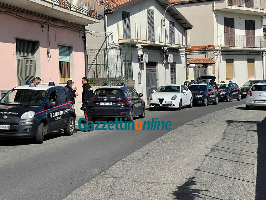 Giarre, perquisizione in una abitazione di corso delle Province: scoperta mini piantagione