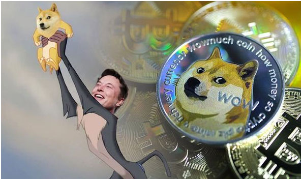 Valore Dogecoin: in che modo Elon Musk lo influenza?