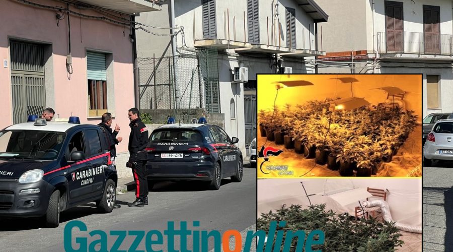 Giarre, i particolari dell’operazione antidroga in un appartamento di corso delle Province
