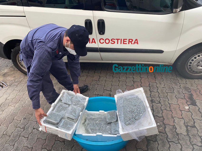 Riposto, sequestrati e dati in beneficenza circa 22 kg di novellame di sarda