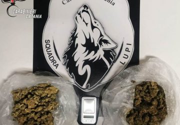 Fermato dai Lupi 30enne che spacciava ai domiciliari