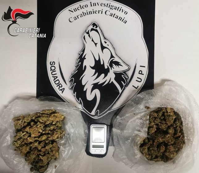 Fermato dai Lupi 30enne che spacciava ai domiciliari