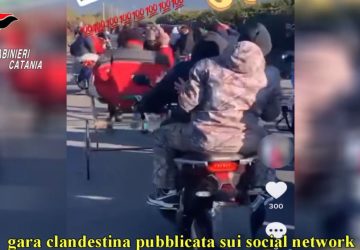 Corse clandestine di cavalli: due denunciati