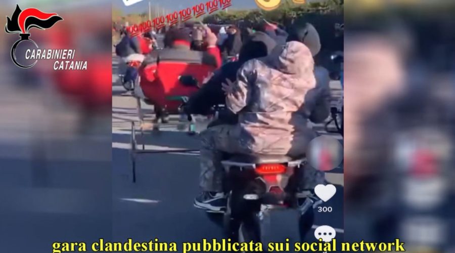 Corse clandestine di cavalli: due denunciati