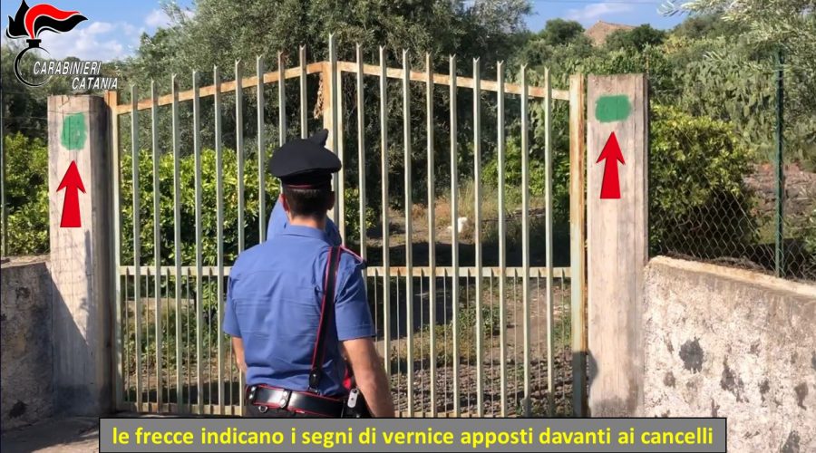 Guardiania dei terreni “in nero”: avviso di conclusioni delle indagini per 5 persone VIDEO