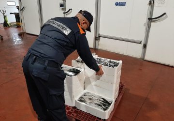 Riposto, controlli della Guardia Costiera: sequestrati 185 chili di prodotti ittici