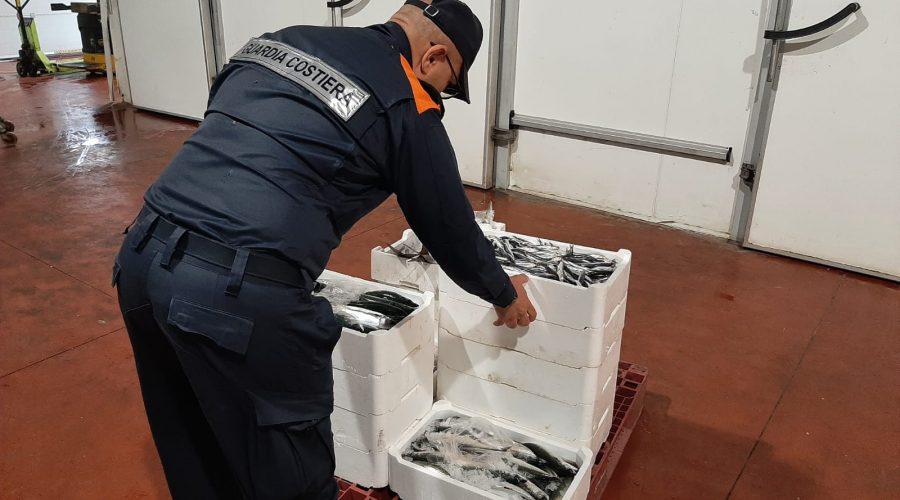 Riposto, controlli della Guardia Costiera: sequestrati 185 chili di prodotti ittici