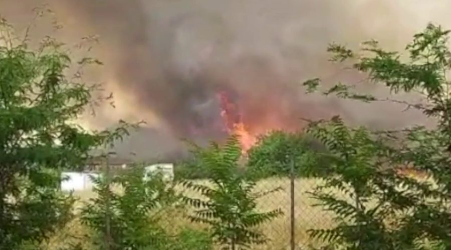 Caldo africano, allerta rossa per mercoledi 29 a Catania