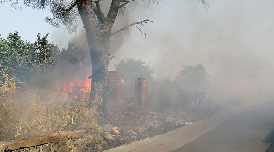 Macchia, a fuoco area incolta di via delle Zagare
