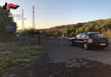 Servizio antincendio boschivo: denunce per pascolo abusivo