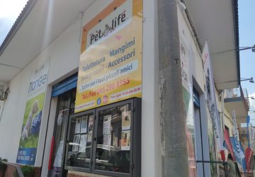 Pet-Life, da 10 anni al servizio degli amici a 4 zampe