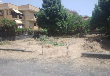 Giarre, convenzione Comune-Azienda Foreste: disboscamento aree esposte ad incendi