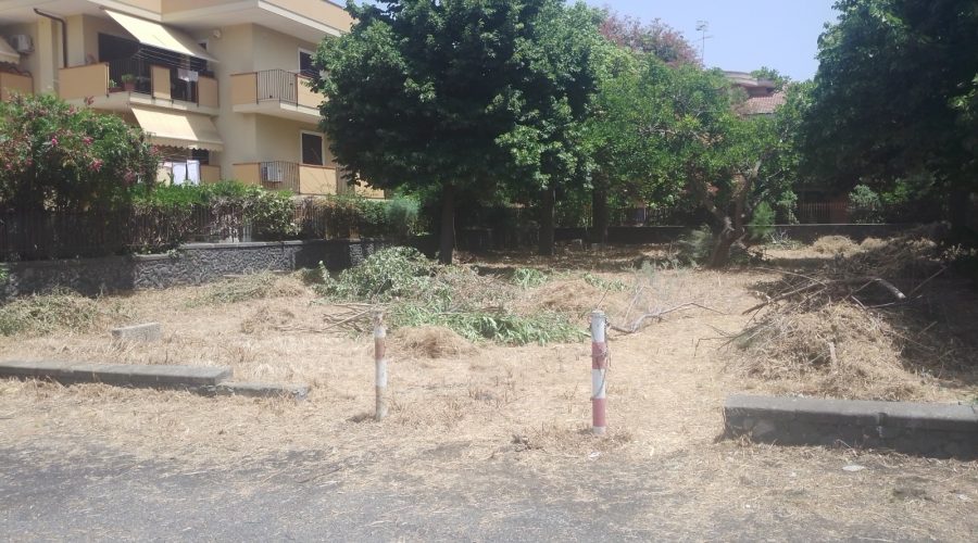 Giarre, convenzione Comune-Azienda Foreste: disboscamento aree esposte ad incendi