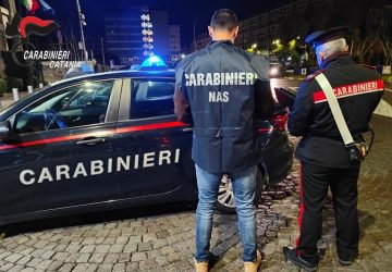 Attivit&agrave; ispettive ai ristoranti e controlli alla circolazione stradale