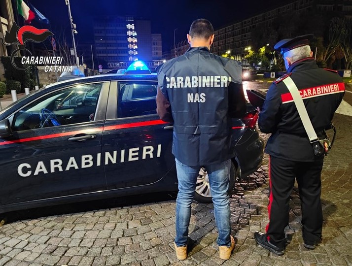 Attività ispettive ai ristoranti e controlli alla circolazione stradale