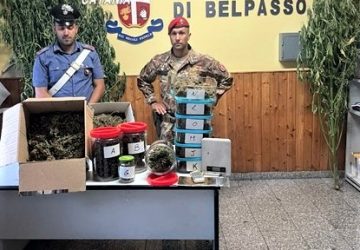Coltivatore professionista di erba &ldquo;pregiata&rdquo;: arrestato con soldi e droga
