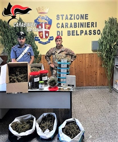 Coltivatore professionista di erba “pregiata”: arrestato con soldi e droga